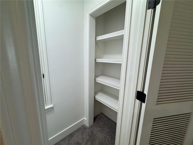 8038 Etienne Dr, Corpus Christi, TX 78414 - view of closet