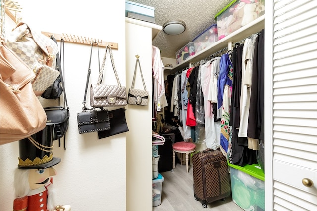 spacious closet with light hardwood / wood-style floors