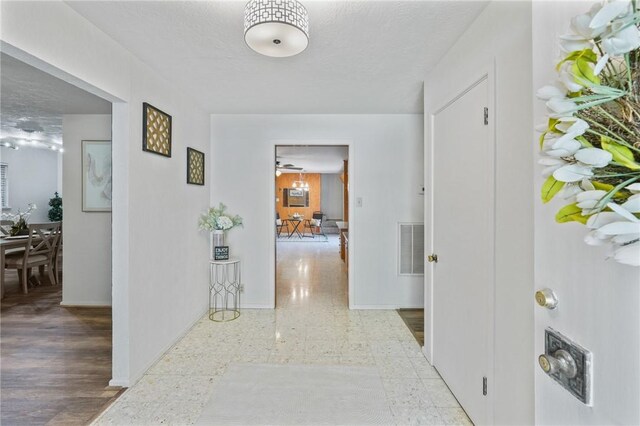 530 Belleview Dr, Corpus Christi, TX 78412 - photo 5