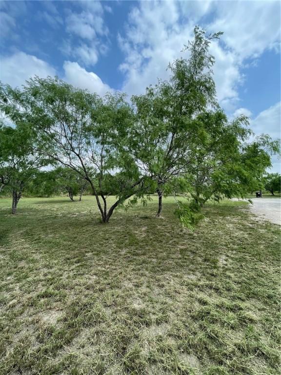 8153 Sims Dr, Skidmore, TX 78389 - photo 33