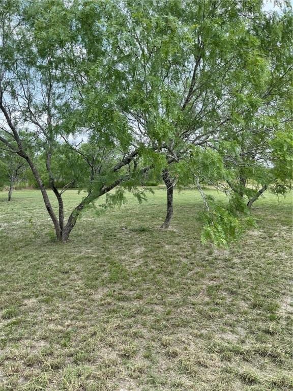 8153 Sims Dr, Skidmore, TX 78389 - photo 32