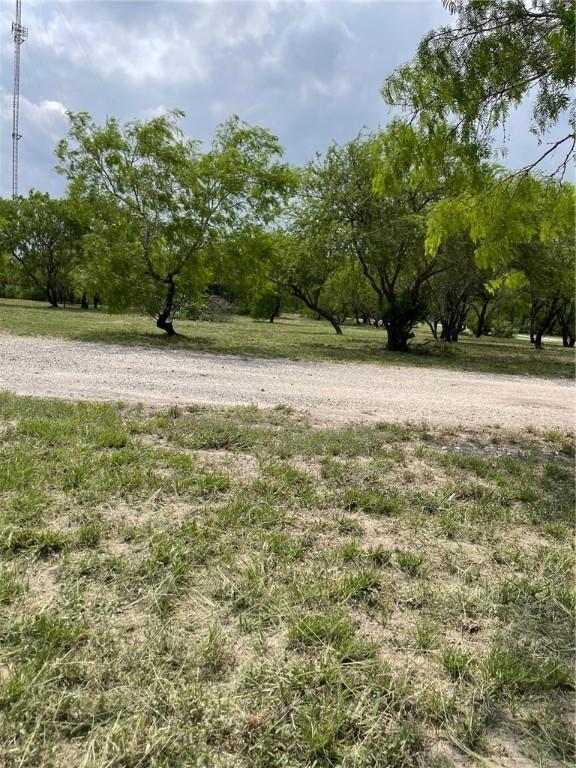 8153 Sims Dr, Skidmore, TX 78389 - photo 24