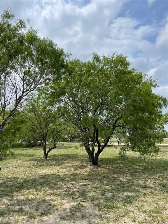 8153 Sims Dr, Skidmore, TX 78389 - photo 25