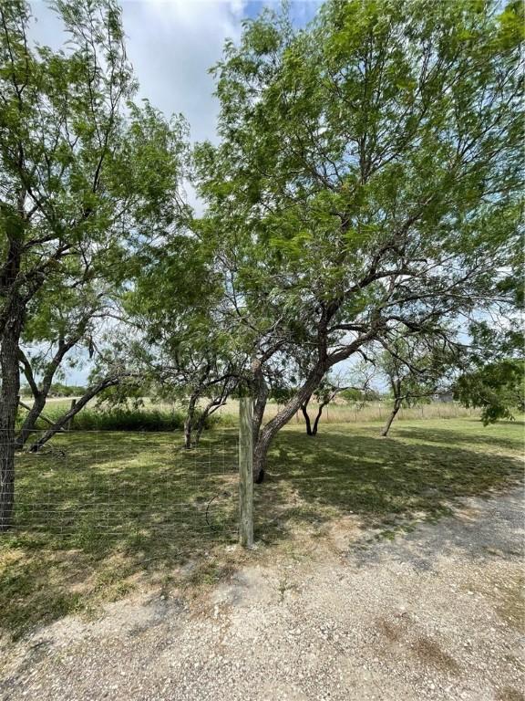 8153 Sims Dr, Skidmore, TX 78389 - photo 36