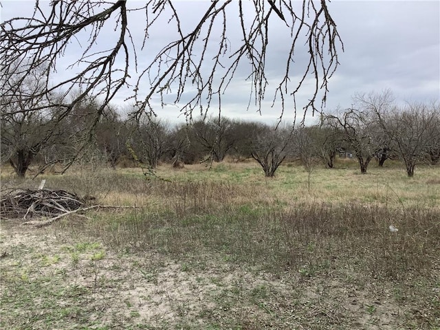 Listing photo 3 for 17 Chuckwagon, Robstown TX 78380