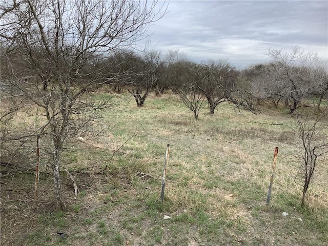 17 Chuckwagon, Robstown TX, 78380 land for sale