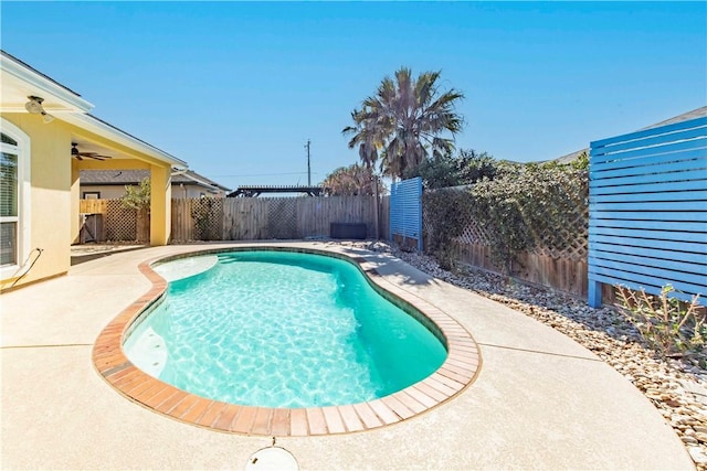 view of swimming pool with a patio area, a fenced backyard, and a fenced in pool