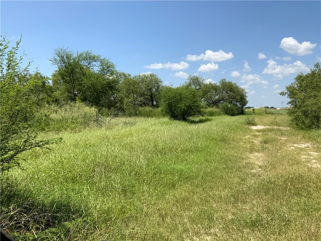 Address Not Disclosed, Sinton TX, 78387 land for sale