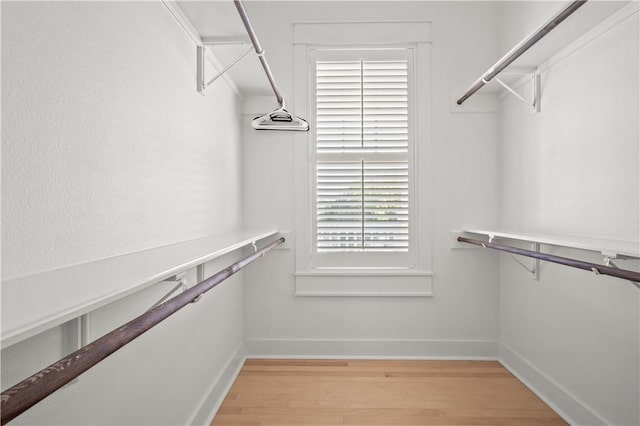 spacious closet with light wood-type flooring