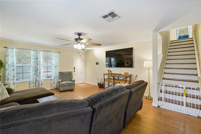 living room with ceiling fan, ornamental molding, and light wood-type flooring