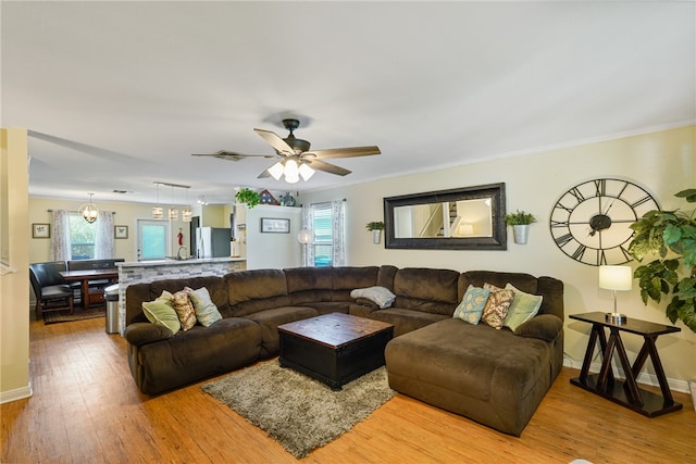 living room featuring hardwood / wood-style floors, ceiling fan with notable chandelier, and crown molding