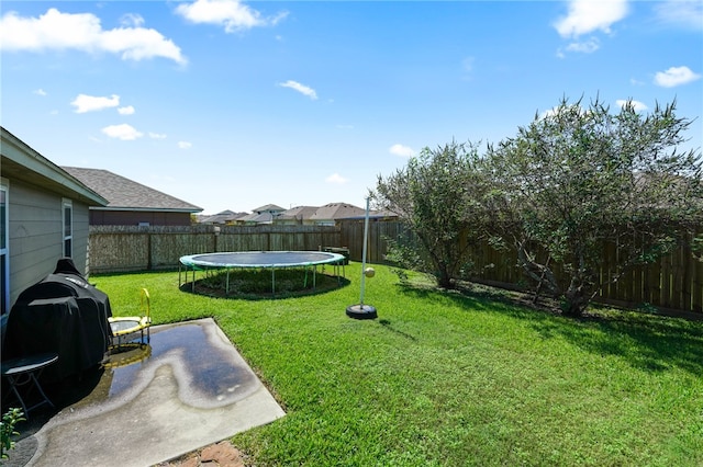 view of yard with a trampoline