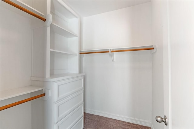 3013 Neches Dr, Corpus Christi, TX 78414 - walk in closet featuring light carpet