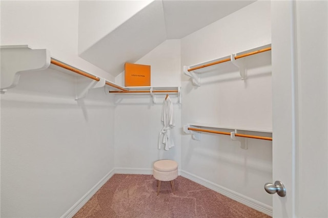 3013 Neches Dr, Corpus Christi, TX 78414 - spacious closet featuring carpet