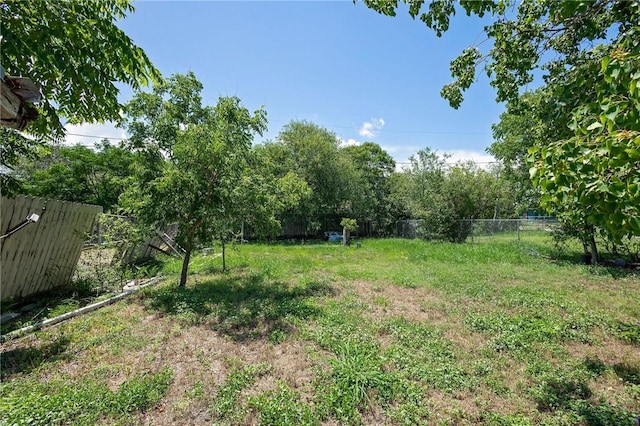 2407 David St, Corpus Christi, TX 78405 - view of yard