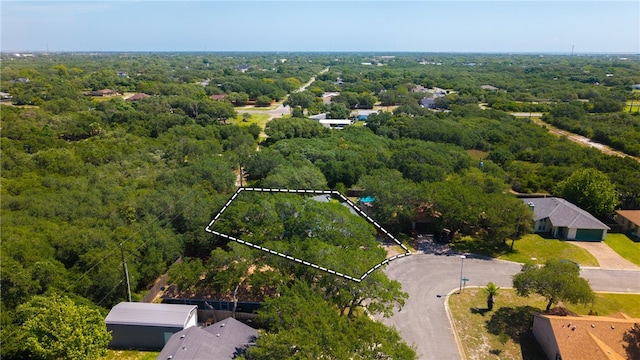 102 Mallard Dr, Aransas Pass, TX 78336 - view of property location with property boundaries highlighted and a forest