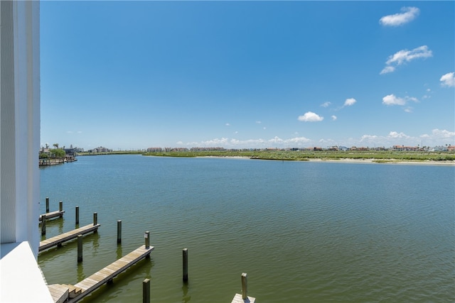 dock area with a water view