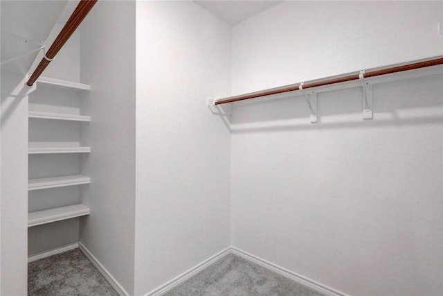 walk in closet featuring carpet