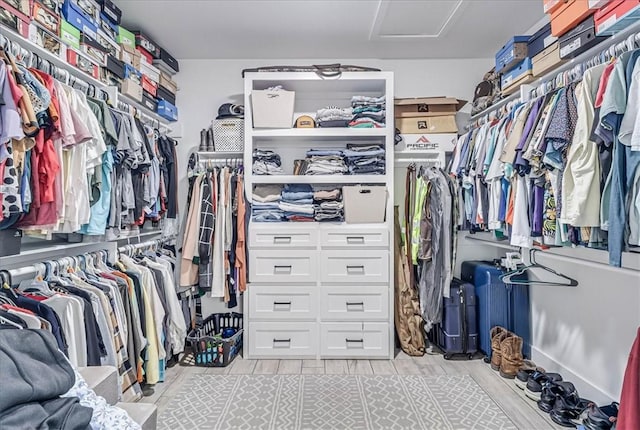 view of spacious closet