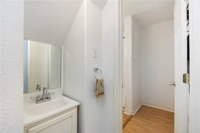 bathroom featuring wood finished floors and vanity