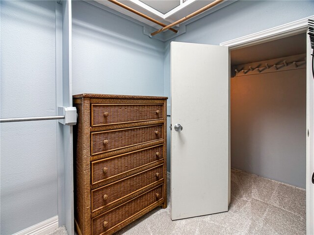 walk in closet with carpet floors