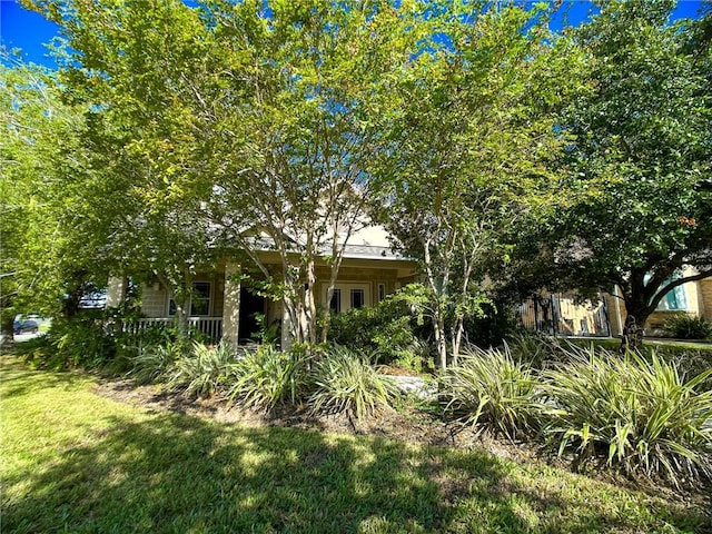 460 Del Mar Blvd, Corpus Christi, TX 78404 - view of grassy yard