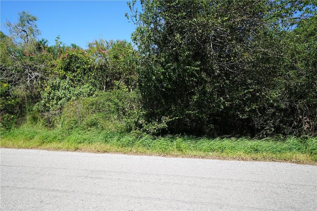 6436 Easley, Sandia, TX 78383 - photo 1