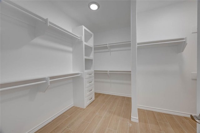 spacious closet featuring light wood-type flooring