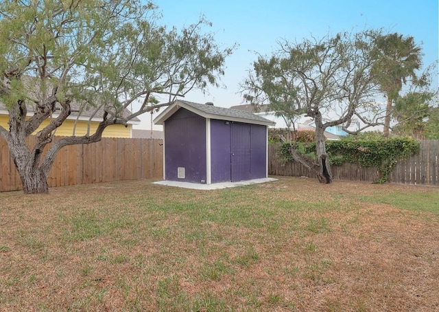 view of yard featuring a storage shed