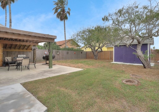 view of yard with a patio and a storage unit