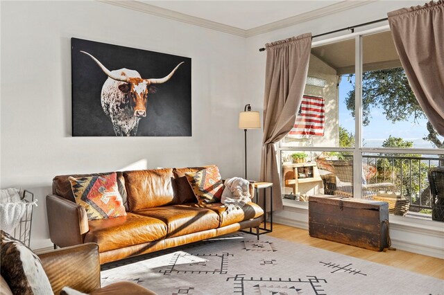 1044 Edinburgh Dr Unit 1044, Kerrville, TX 78028 - living room featuring wood finished floors and crown molding