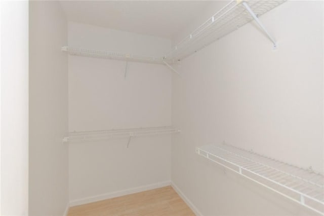 6918 Roseland Dr, Corpus Christi, TX 78414 - spacious closet with light wood-style floors