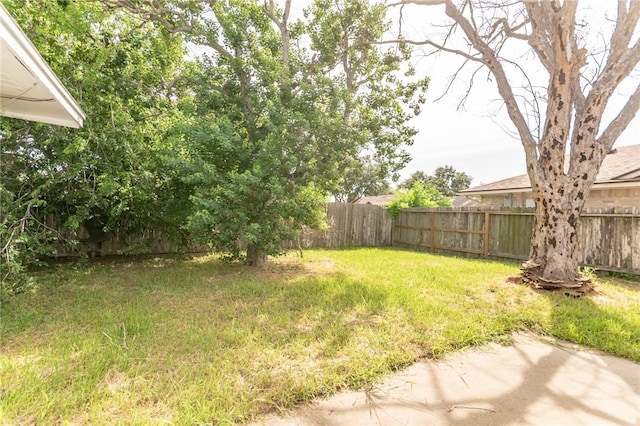 6918 Roseland Dr, Corpus Christi, TX 78414 - view of fenced backyard