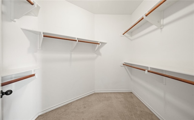 walk in closet with light carpet