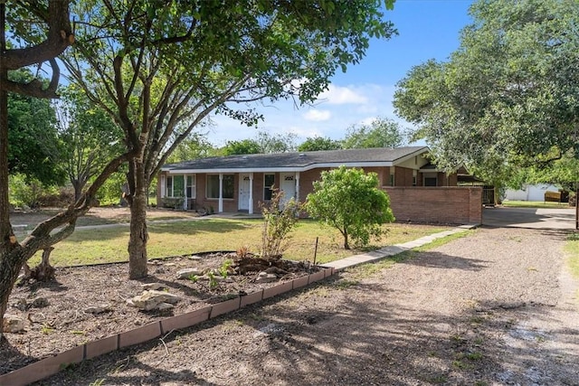10022 Leopard St, Corpus Christi, TX 78410 - photo 1