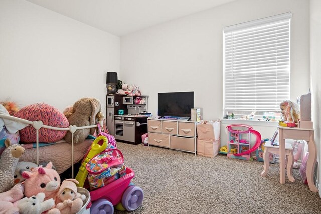 recreation room featuring carpet floors