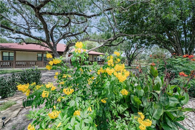 3791 Elm Dr, Beeville, TX 78102 - photo 16
