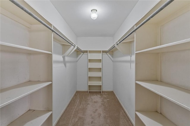 spacious closet featuring carpet floors