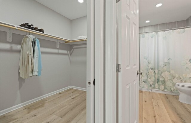walk in closet featuring wood finished floors