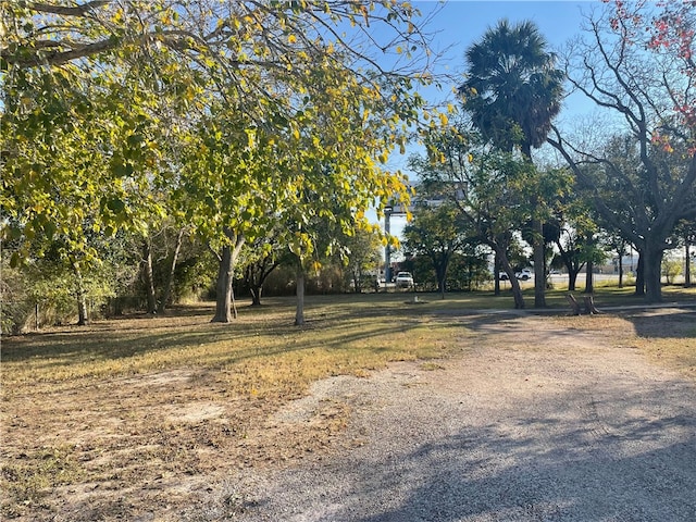 104 E Refugio St, Skidmore, TX 78389 - view of road