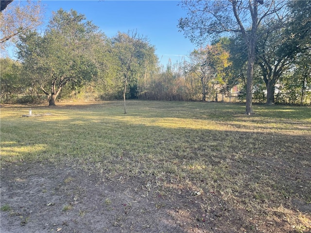 104 E Refugio St, Skidmore, TX 78389 - view of grassy yard