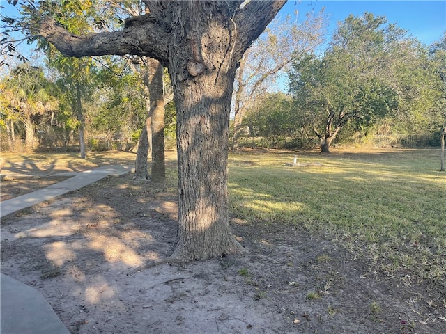 104 E Refugio St, Skidmore, TX 78389 - view of grassy yard