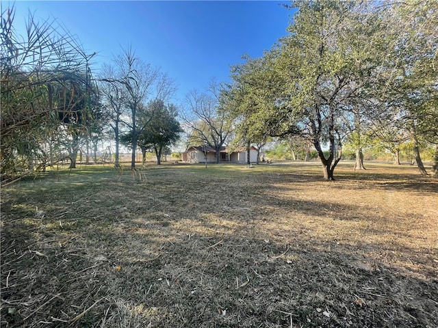104 E Refugio St, Skidmore, TX 78389 - view of yard
