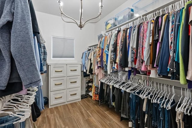 spacious closet featuring light wood-type flooring