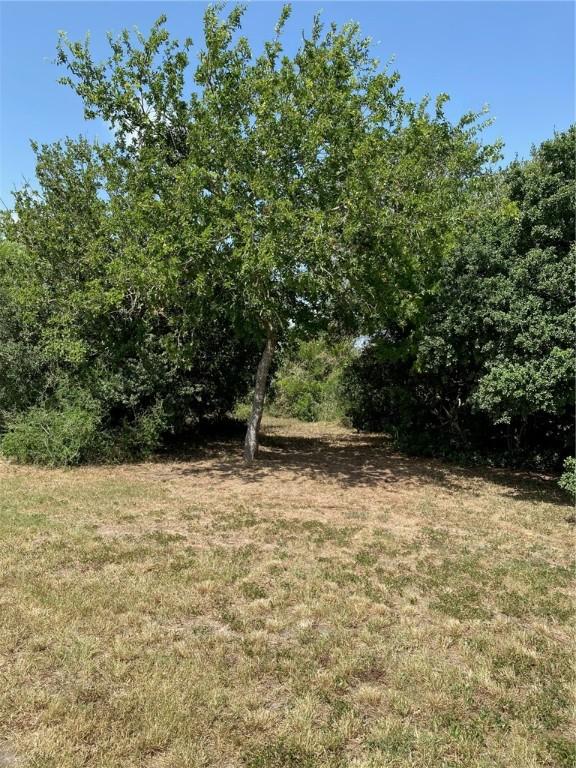 137 Fm 1360, Woodsboro, TX 78393 - photo 13