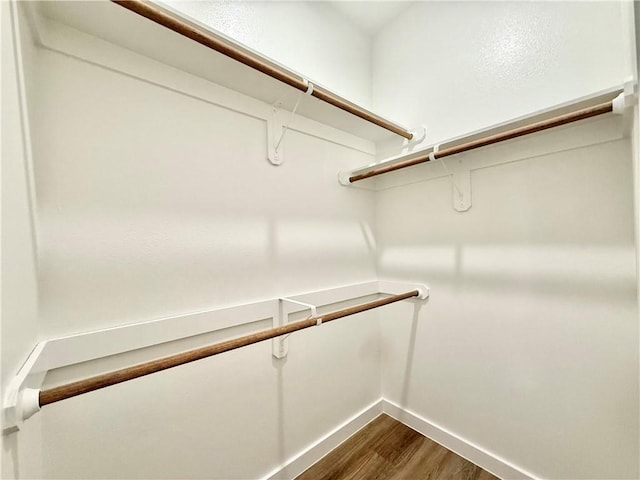 spacious closet with hardwood / wood-style flooring