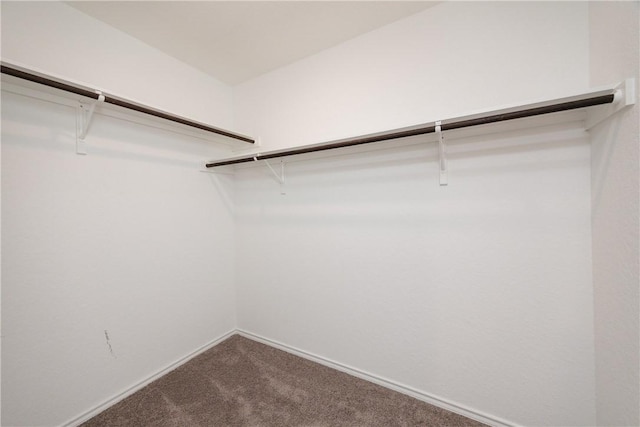 13245 Wrangler St, Robstown, TX 78380 - walk in closet featuring carpet