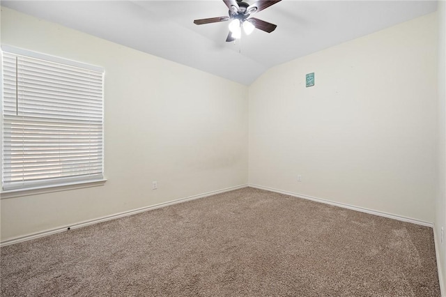 9542 English Oak Dr, Corpus Christi, TX 78410 - photo 6
