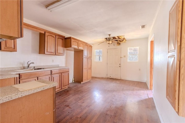 kitchen with sink, light hardwood / wood-style flooring, and ceiling fan