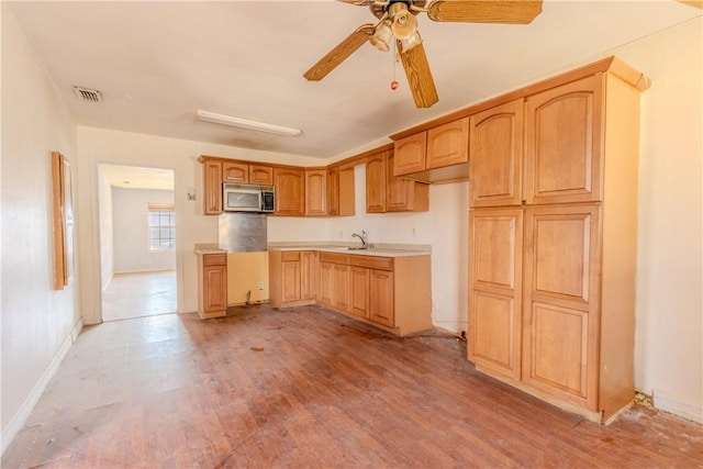 kitchen with sink, ceiling fan, and light hardwood / wood-style flooring